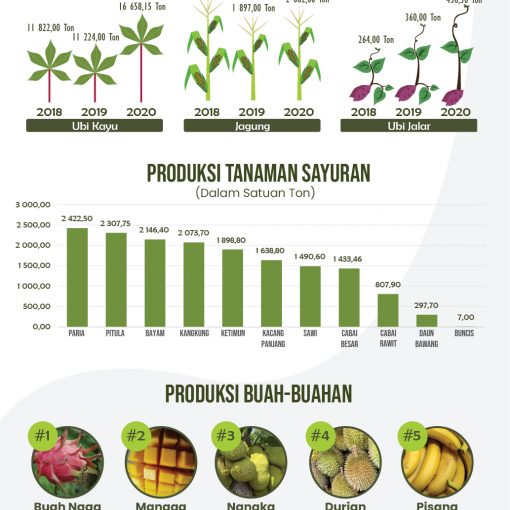 Infografis Ketahanan Pangan dan Pertanian Kota Batam Tahun 2020